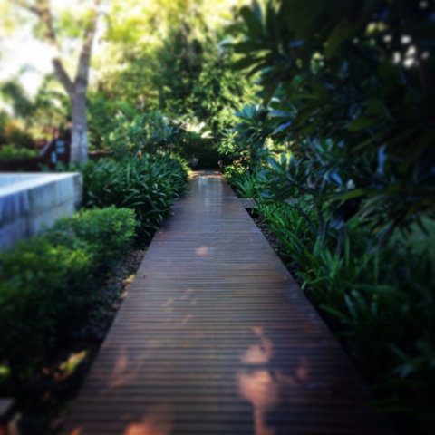 The Billi Resort - C Tourism 4