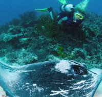 Heron Island Resort - C Tourism