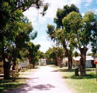 Bathers Paradise Caravan Park - C Tourism