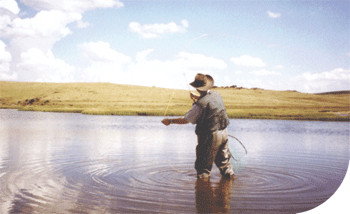 Tawonga Fishing Lodge - C Tourism 3