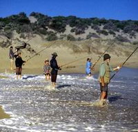 Flippers Beachouse - C Tourism