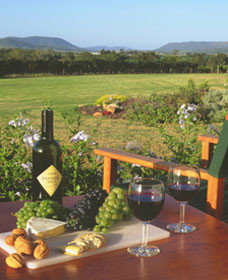 Tranquil Vale Vineyard Cottages - C Tourism 0