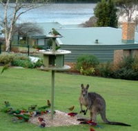 Gipsy Point Lakeside - C Tourism