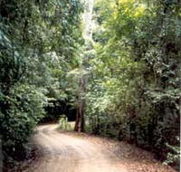 Mt Glorious Getaway Cottages And Conference Centre - C Tourism