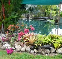 Daintree Wild Bed And Breakfast - C Tourism