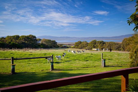Coastal View Cabins - C Tourism 9