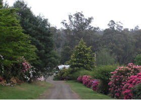Mountain Rivers Lodge - C Tourism 0