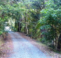 Solitude - C Tourism