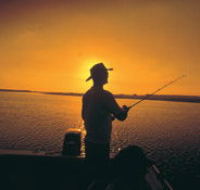 Point Stuart Wilderness Lodge - C Tourism