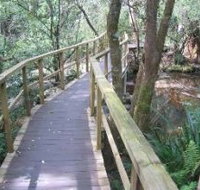 The Mouses House - C Tourism