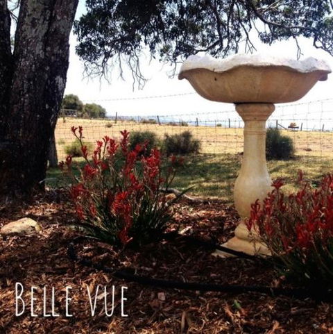 Belle Vue Studio - C Tourism 1