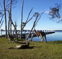 Waterfront Retreat At Wattle Point - C Tourism