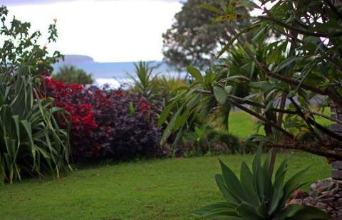 ArtHOUSE Beachfront Accommodation - C Tourism 6