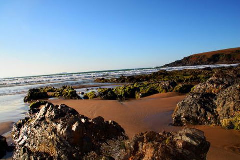 ArtHOUSE Beachfront Accommodation - C Tourism 8