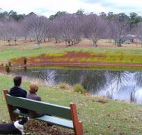 Chestnut Glade - C Tourism