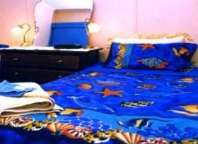 Bay Beach Cottage - C Tourism 0