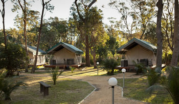 Ocean Beach Resort & Holiday Park - C Tourism 40