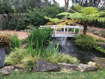 Checkers Resort & Conference Centre - C Tourism 20