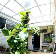 Manly Oceanside - C Tourism