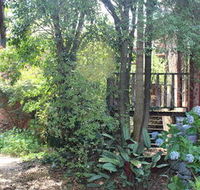 Storey Grange - C Tourism