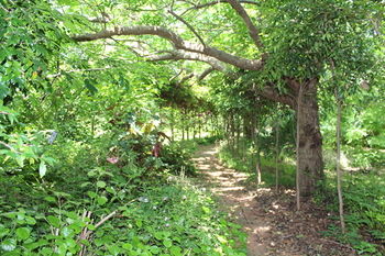 Storey Grange - C Tourism 13