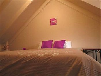 Barrington Wilderness Cedar Lodge Accommodation - C Tourism 2