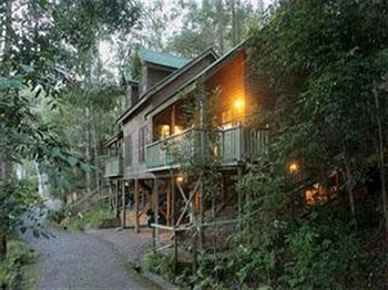 Barrington Wilderness Cedar Lodge Accommodation - C Tourism 3