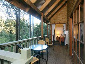 Barrington Wilderness Cedar Lodge Accommodation - C Tourism 5