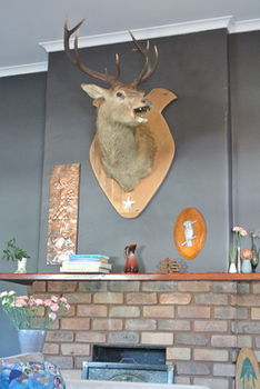 Vine Valley Inn - C Tourism 49