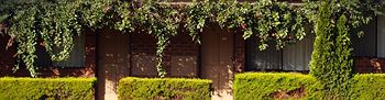 Nunawading Motor Inn - C Tourism 30