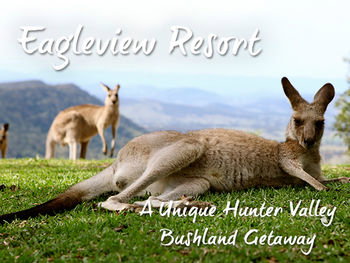 Eagleview Resort - C Tourism 45