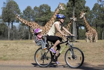 Zoofari Lodge, Taronga Western Plains Zoo - C Tourism 7