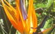 Sunshine Valley Cottages - thumb 1