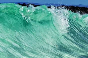 Bella Villas Of Jervis Bay - C Tourism 10