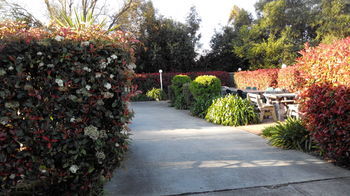 Branxton House Motel, Hunter Valley - C Tourism 13