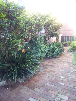 Hamilton Heritage B&B - C Tourism 14