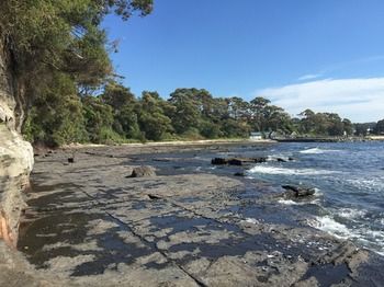 Ulladulla Harbour Motel - C Tourism 29