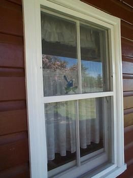 Aaron Cottage - C Tourism 1