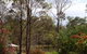 Buffs At Pokolbin - thumb 10