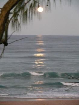 Andari - C Tourism 2