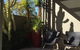 Chaucer Palms Boutique Bed & Breakfast - thumb 1