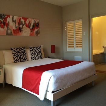 Chaucer Palms Boutique Bed & Breakfast - C Tourism 5