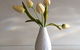 Chaucer Palms Boutique Bed & Breakfast - thumb 7