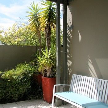 Chaucer Palms Boutique Bed & Breakfast - C Tourism 26