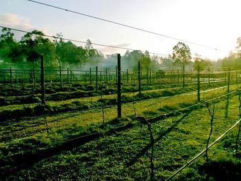 Hunter Country Lodge - C Tourism 3