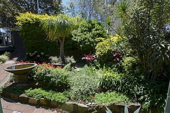 Beachview Homestay - C Tourism 10