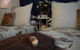 Meurants Manor Bed And Breakfast - thumb 38