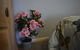 Meurants Manor Bed And Breakfast - thumb 42