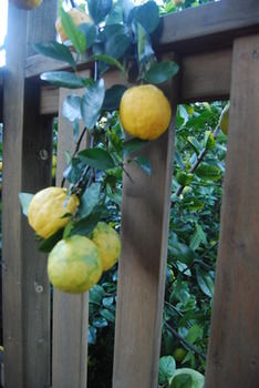 Highclaire House Bed And Breakfast - C Tourism 27