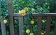 Highclaire House Bed And Breakfast - thumb 28